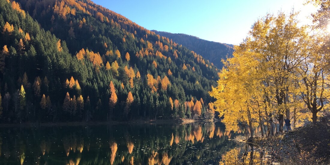 Offerta autunnale