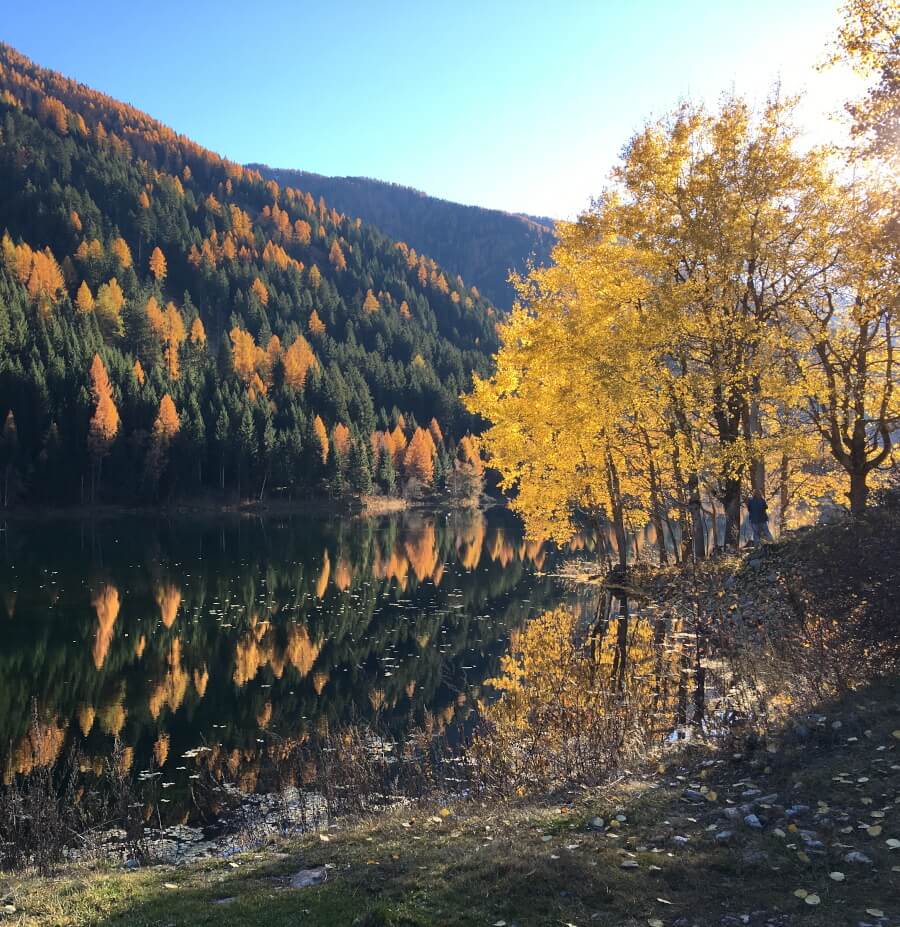 Offerta autunnale