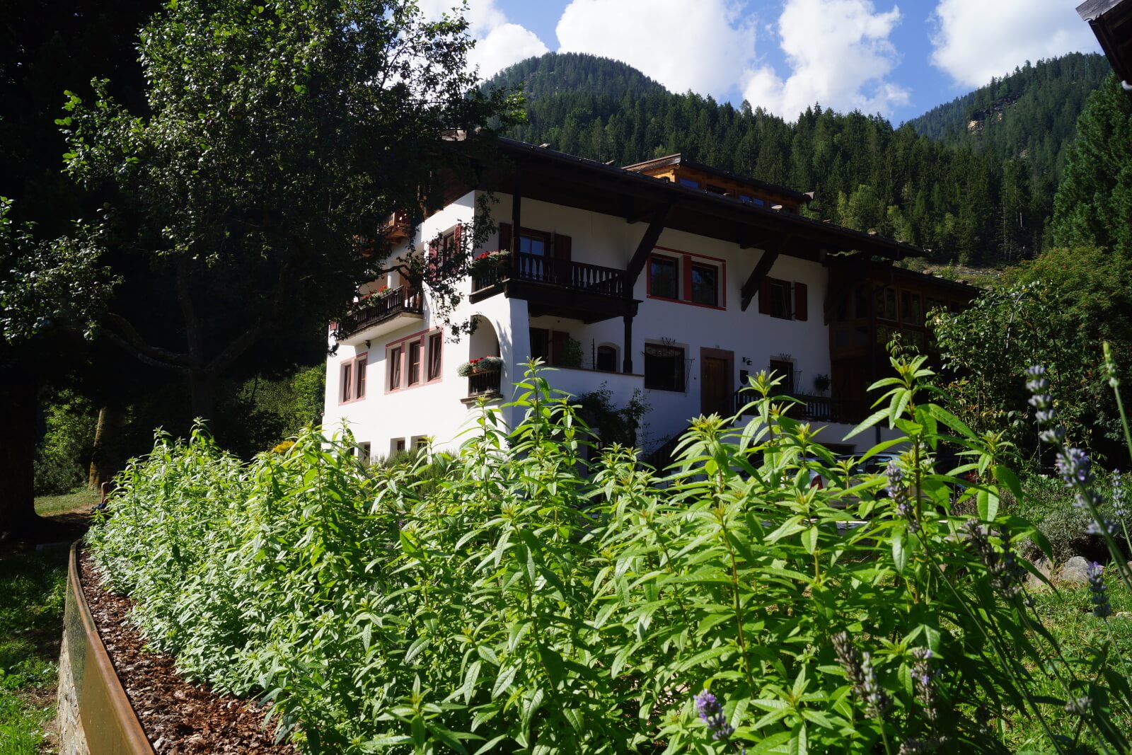 Giardino delle erbe