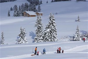 Bewegungen Schnee